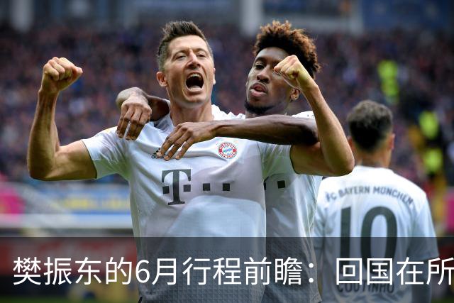 樊振东的6月行程前瞻：回国在所难免，他会与王励勤见面吗？